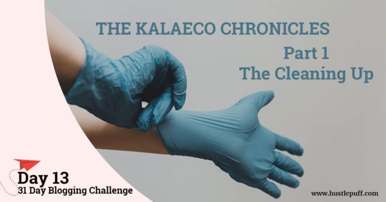 The Kalaeco Chronicles – 1 – The Cleaning Up